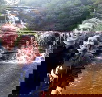 Private Blue Mountains Day Tour including Wildlife Park - Accommodation China