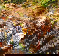 Full-day Springbrook National Park Tour from the Gold Coast - Accommodation China