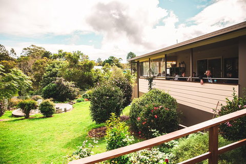 Full-day Springbrook National Park Tour From The Gold Coast - Accommodation Guide 2