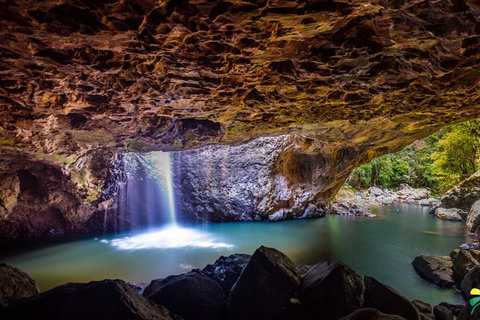 Full-day Springbrook National Park Tour From The Gold Coast - Accommodation Guide 3
