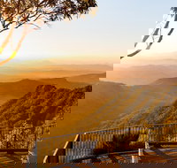 O'Reilly's  Lamington National Park incl. Alpaca Farm  Vineyard - Accommodation China