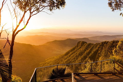 O'Reilly's & Lamington National Park Incl. Alpaca Farm + Vineyard - Accommodation Guide 0