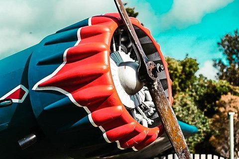 O'Reilly's & Lamington National Park Incl. Alpaca Farm + Vineyard - Accommodation Guide 1