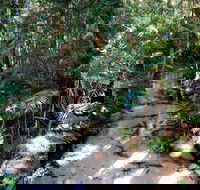 Fraser Island 4WD Tour from Rainbow Beach - Accommodation Guide