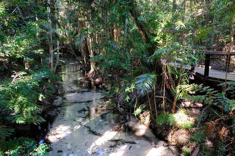 Fraser Island 4WD Tour From Rainbow Beach - Accommodation Guide 0
