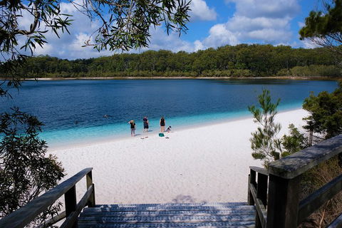 Fraser Island 4WD Tour From Rainbow Beach - Accommodation Guide 3