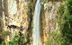 Private Tour - Rainforest & Waterfalls Extravaganza - thumb 0