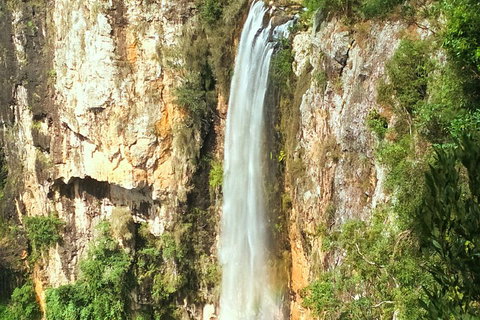 Private Tour - Rainforest & Waterfalls Extravaganza - Accommodation Guide 0