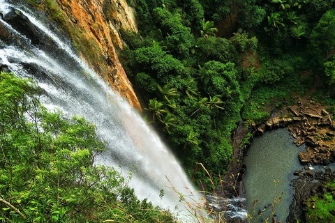Private Tour - Rainforest & Waterfalls Extravaganza - Accommodation Guide 2