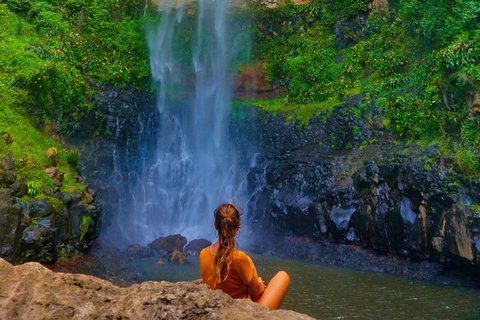 Private Tour - Rainforest & Waterfalls Extravaganza - Accommodation Guide 3