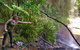 Private Tour - Rainforest & Waterfalls Extravaganza - thumb 4