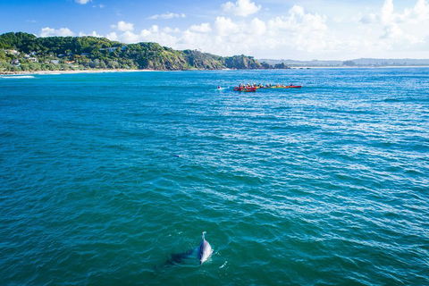 The Byron Bay Sea Kayak Tour - Accommodation Asia 2