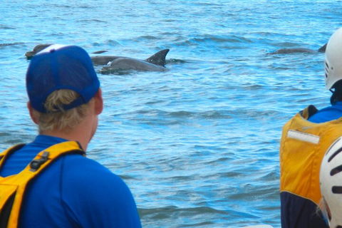 The Byron Bay Sea Kayak Tour - Accommodation Asia 4