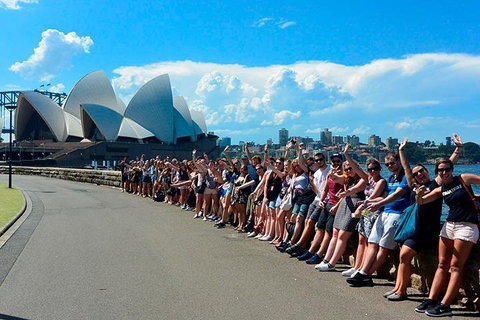 7-Day Tour In Sydney With Airport Pickup - Accommodation Guide 3