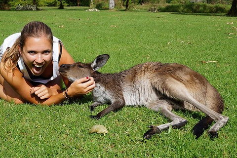 7-Day Tour In Sydney With Airport Pickup - Accommodation Guide 4