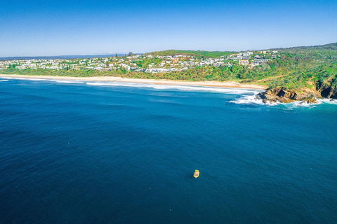 Noosa Oceanrider Scenic Dolphin Safari - Accommodation Asia 4