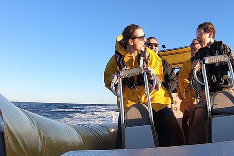 Noosa Oceanrider - Adventure Tour - Accommodation Guide 0