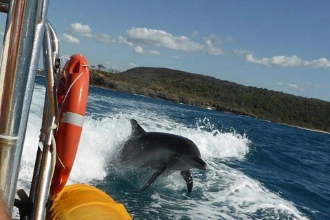 Noosa Oceanrider - Adventure Tour - Accommodation Guide 1