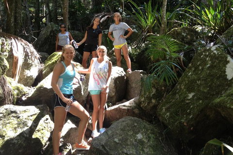 Byron Bay Hinterland Tour Including Rainforest Walk To Minyon Falls - Accommodation Guide 3