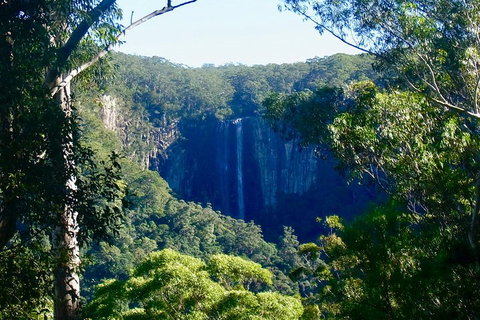 Byron Bay Hinterland Tour Including Rainforest Walk To Minyon Falls - Accommodation Guide 4