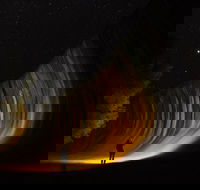 Wave Rock Wild Flowers and Astro Photography - Accommodation Asia