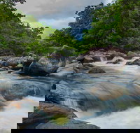 Cape Tribulation Day Tour - Accommodation China