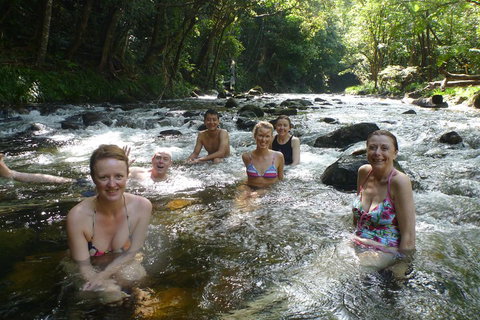 Daintree Rainforest, Cape Tribulation, Mossman Gorge Small-Group Day Tour - Accommodation Guide 0