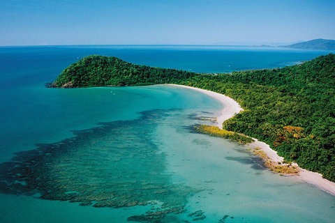 Daintree Rainforest, Cape Tribulation, Mossman Gorge Small-Group Day Tour - Accommodation Guide 4