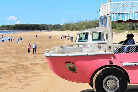 1770 Coastline Tour By LARC Amphibious Vehicle Including Picnic Lunch - Accommodation Guide 0