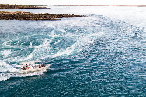 Giant Tides Tour - Cygnet Bay Pearl Farm - Accommodation Asia 4