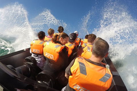 Noosa Thriller - 500hp Ocean Adventure Ride - Accommodation Asia 4