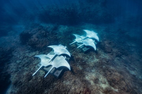Premium Private Charter - Accommodation Guide 3