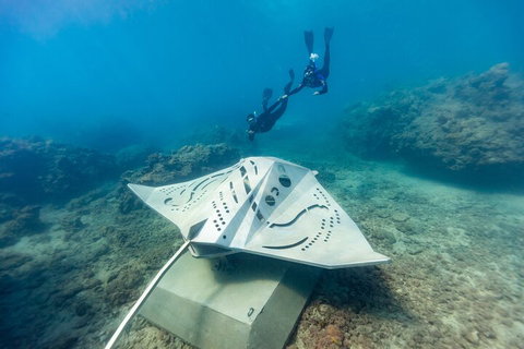 Premium Private Charter - Accommodation Guide 5