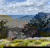 Blue Mountains Private Tour - wild kangaroos waterfalls and The Three Sisters - Accommodation China
