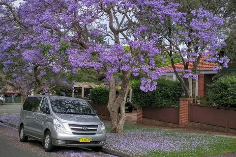 Sydney Secrets & Bondi Beach Private 4 Hr Morning With Personalised Sydney Tours - Accommodation Asia 0