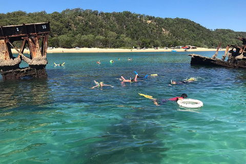 All Inclusive Dolphin And Tangalooma Wrecks Cruise - Accommodation Guide 0