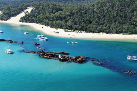 All Inclusive Dolphin And Tangalooma Wrecks Cruise - Accommodation Guide 4