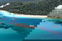 All Inclusive Tangalooma Wrecks Cruise Tour From Gold Coast, Brisbane