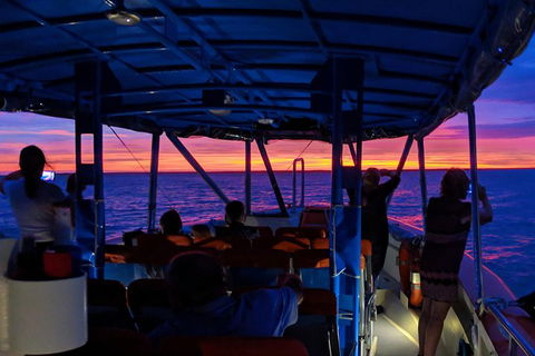 Darwin Sunset Cruise Including Fish 'n' Chips - Accommodation Guide 1