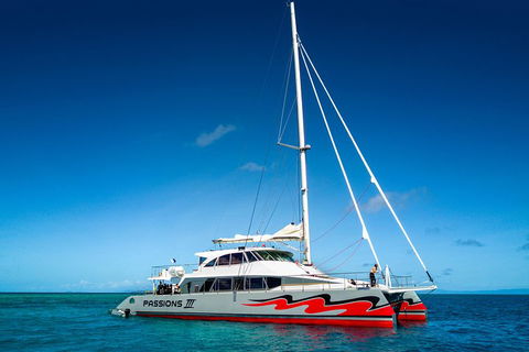 Passions Of Paradise Great Barrier Reef Snorkel And Dive Cruise From Cairns By Luxury Catamaran - Accommodation Guide 0