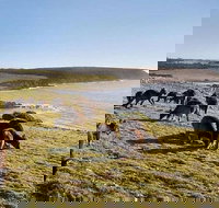 Kangaroo Island Personal Group Tours - Accommodation Guide