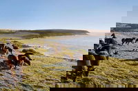 Kangaroo Island Personal Group Tours, Adelaide