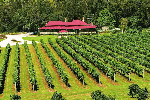 O'Reilly's & Lamington National Park From Brisbane - Accommodation Asia 2