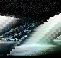 Natural Bridge Glow Worm Night Tour from Gold Coast - Accommodation China