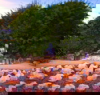 Byron Bay and the Crystal Castle Day Tour from Gold Coast - Accommodation China