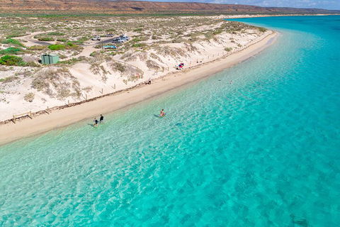 Ningaloo In A Day - Full Day Hike And Snorkel Tour With Lunch - Accommodation Asia 0