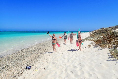 Ningaloo In A Day - Full Day Hike And Snorkel Tour With Lunch - Accommodation Asia 1