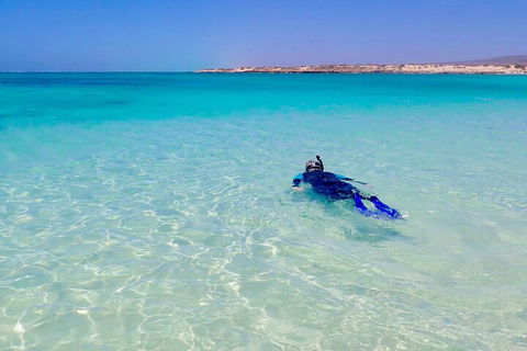 Ningaloo In A Day - Full Day Hike And Snorkel Tour With Lunch - Accommodation Asia 4