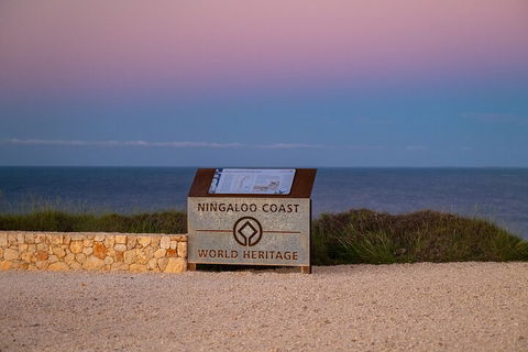 Ningaloo In A Day - Full Day Hike And Snorkel Tour With Lunch - Accommodation Asia 5