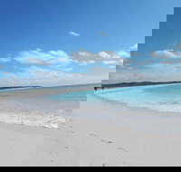 Shipwreck Special Nature Tour/Half Day Tour - Accommodation Guide